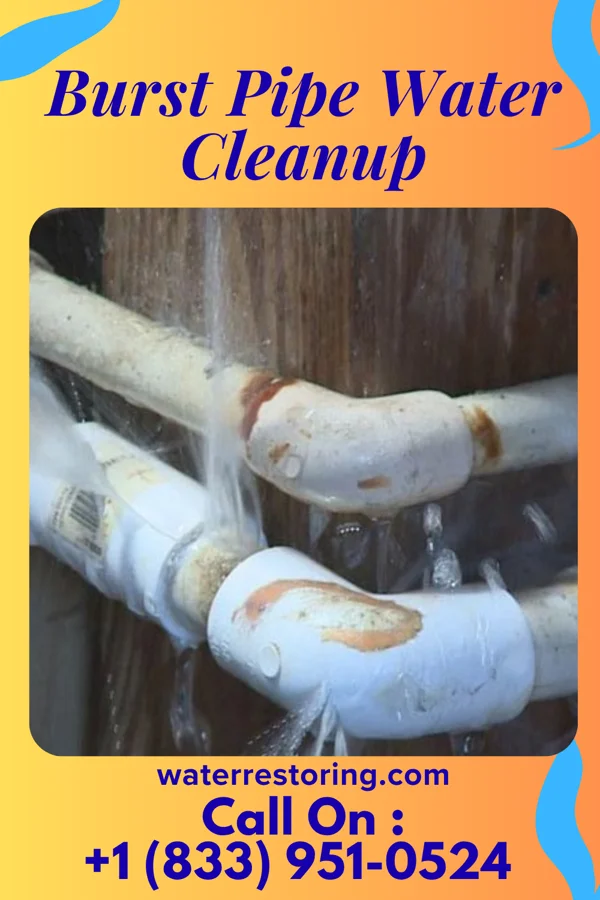 Burst Pipe Water Cleanup in Amityville, NY